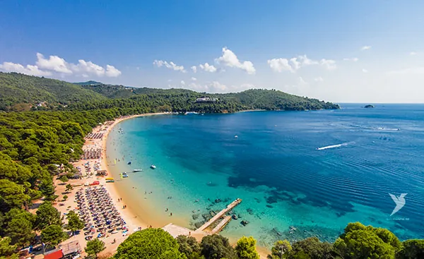 A long sandy beach and pine forest on Skiathos, from above